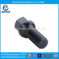 Auto Fastener High Stength Black Wheel Schrauben